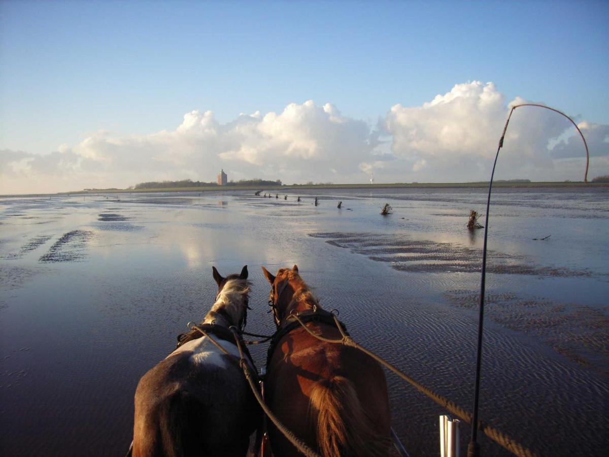 Residenz Jan Am Strand Cuxhaven Exteriör bild